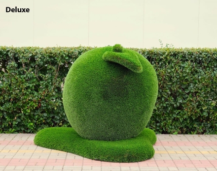 Топиари яблоко Гренни - газон Deluxe/Deluxe Green , фото 2