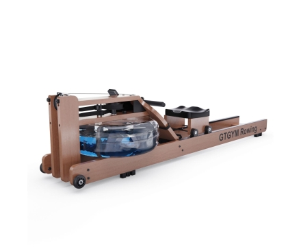 Гребной тренажер DFC GTGYM Frank, фото 2