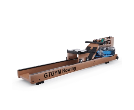 Гребной тренажер DFC GTGYM Frank, фото 1