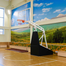 Стойка баскетбольная ZSO мобильная, складная, на пружинах, вынос 2,25 м., c противовесом