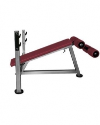 Скамья для жима лежа с обратным наклоном, серия: 1000, фото 1