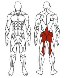 Гиперэкстензия (серый) - Уличный тренажер - СТ 003-13, фото 6