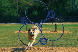 Кольца для дрессировки собак, фото 2