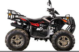 Квадроцикл YACOTA Sela Lux 150 LD, фото 3