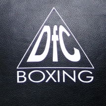 Мешок настенный DFC TR3