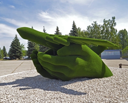 Топиари Самолет в ладонях - газон Есо, фото 2