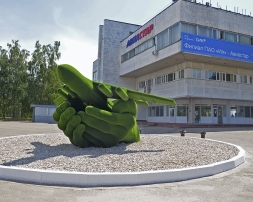 Топиари Самолет в ладонях - газон Есо, фото 3