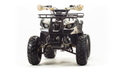 Квадроцикл MOTOLAND 150 Fox, фото 3 Квадроцикл MOTOLAND 150 Fox, фото 3