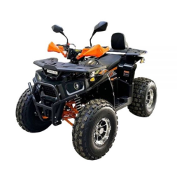 Квадроцикл BISON AFN 125