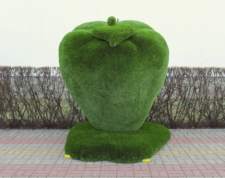 Топиари яблоко Голден - газон Deluxe, фото 2