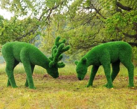 Топиари композиция Олени, олень и самочка - газон Eco Green, фото 1