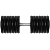 Гантель Barbell 71 кг профи