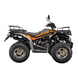 Квадроцикл YACOTA CABO 200 LD, фото 2