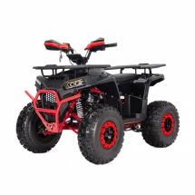 Квадроцикл YACOTA VEKTOR 125 LUX Квадроцикл YACOTA VEKTOR 125 LUX