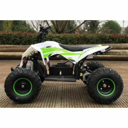 Квадроцикл MOTAX GEKKON 1300W, фото 13