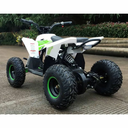 Квадроцикл MOTAX GEKKON 1300W, фото 9