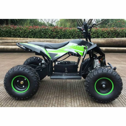 Квадроцикл MOTAX GEKKON 1300W, фото 5