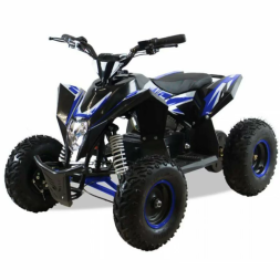 Квадроцикл MOTAX GEKKON 1300W, фото 2