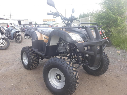 Квадроцикл YACOTA Sela 150, фото 4