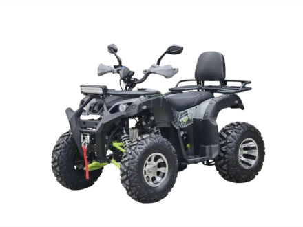Квадроцикл RMOTO LION X 200, фото 1