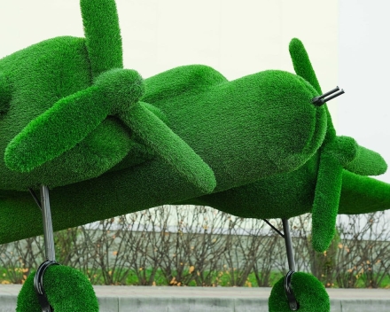 Топиари Самолет Победа - газон Eco, фото 6