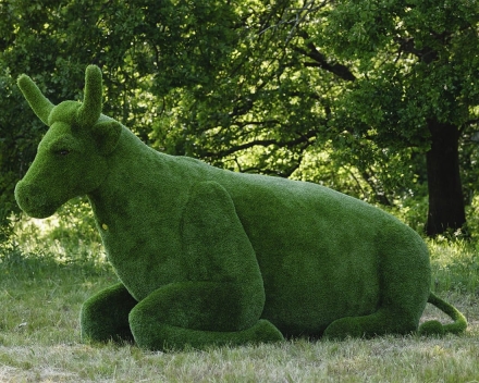 Топиари Корова - газон Premium, фото 4