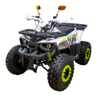 Квадроцикл GAOBO Kids 125 LD Квадроцикл GAOBO Kids 125 LD