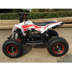 Детский квадроцикл Gekkon 70, фото 3