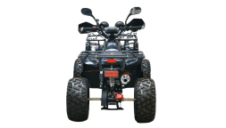 Квадроцикл BISON Kids 125 LD, фото 2