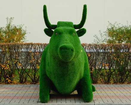 Топиари корова Хэльга - газон Eco, фото 3