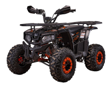 Квадроцикл YACOTA Fusion 125 PRO Квадроцикл YACOTA Fusion 125 PRO