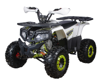 Квадроцикл YACOTA Fusion 125 PRO Квадроцикл YACOTA Fusion 125 PRO