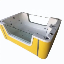 Детский СПА бассейн Angel World DB11 Детский СПА бассейн Angel World DB11