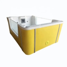 Детский СПА бассейн Angel World DB11 Детский СПА бассейн Angel World DB11