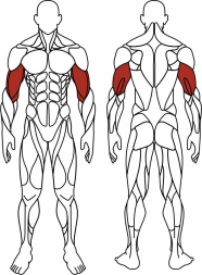 Бицепс стоя (зеленый) - Уличный тренажер - СТ 035-12.И1, фото 6
