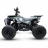 Квадроцикл MOTAX Grizlik Midi ES BW