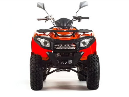 Квадроцикл MOTOLAND 200 Max, фото 8