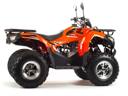 Квадроцикл MOTOLAND 200 Max, фото 7