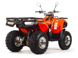 Квадроцикл MOTOLAND 200 Max, фото 6 Квадроцикл MOTOLAND 200 Max, фото 6