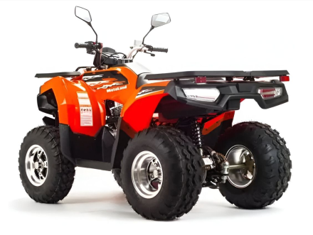 Квадроцикл MOTOLAND 200 Max, фото 5