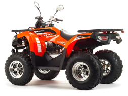 Квадроцикл MOTOLAND 200 Max, фото 4 Квадроцикл MOTOLAND 200 Max, фото 4