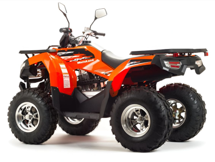 Квадроцикл MOTOLAND 200 Max, фото 4