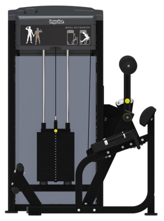 Тренажер Разгибание спины Impulse IF9332, фото 2