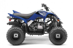 Квадроцикл YAMAHA YFM90R (Raptor 90), фото 3 Квадроцикл YAMAHA YFM90R (Raptor 90), фото 3