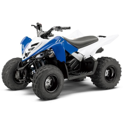 Квадроцикл YAMAHA YFM90R (Raptor 90), фото 1 Квадроцикл YAMAHA YFM90R (Raptor 90), фото 1