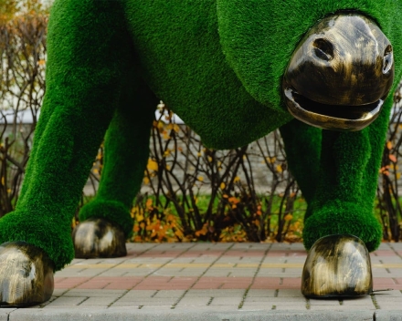 Топиари бык Майкл Брон - газон Eco, фото 4