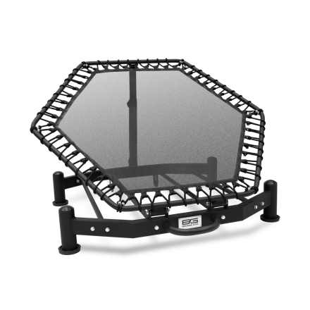 Регулируемый ребаундер BRONZE GYM PARTNER FL-11, фото 1