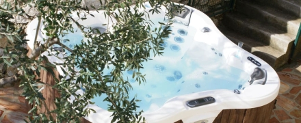 Спа бассейн Dimension One Spas Bay Collection Lotus Bay, фото 2