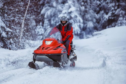Снегоход РУССКАЯ МЕХАНИКА Тайга Варяг 550V, фото 8