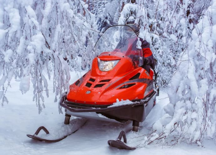 Снегоход РУССКАЯ МЕХАНИКА Тайга Варяг 550V, фото 6